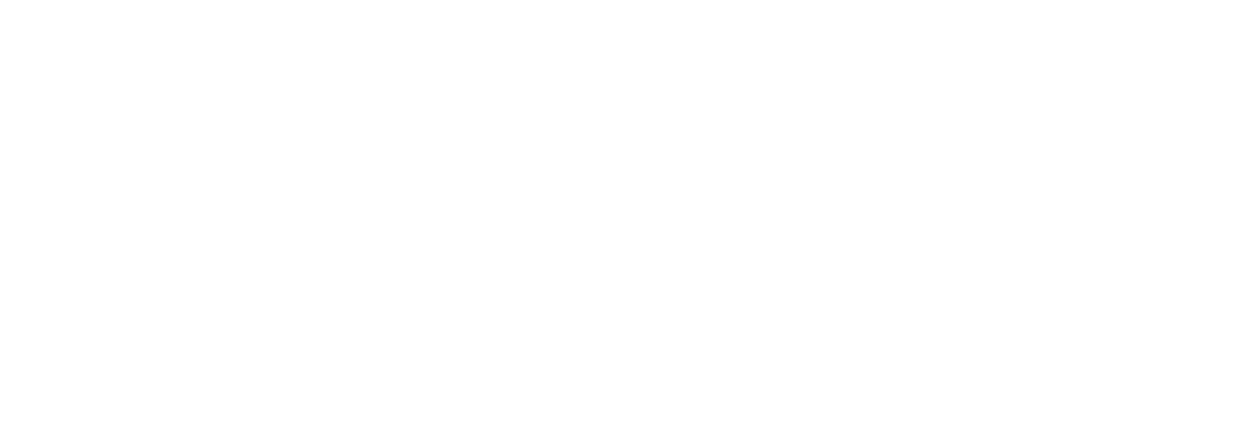 logo-Boehringer