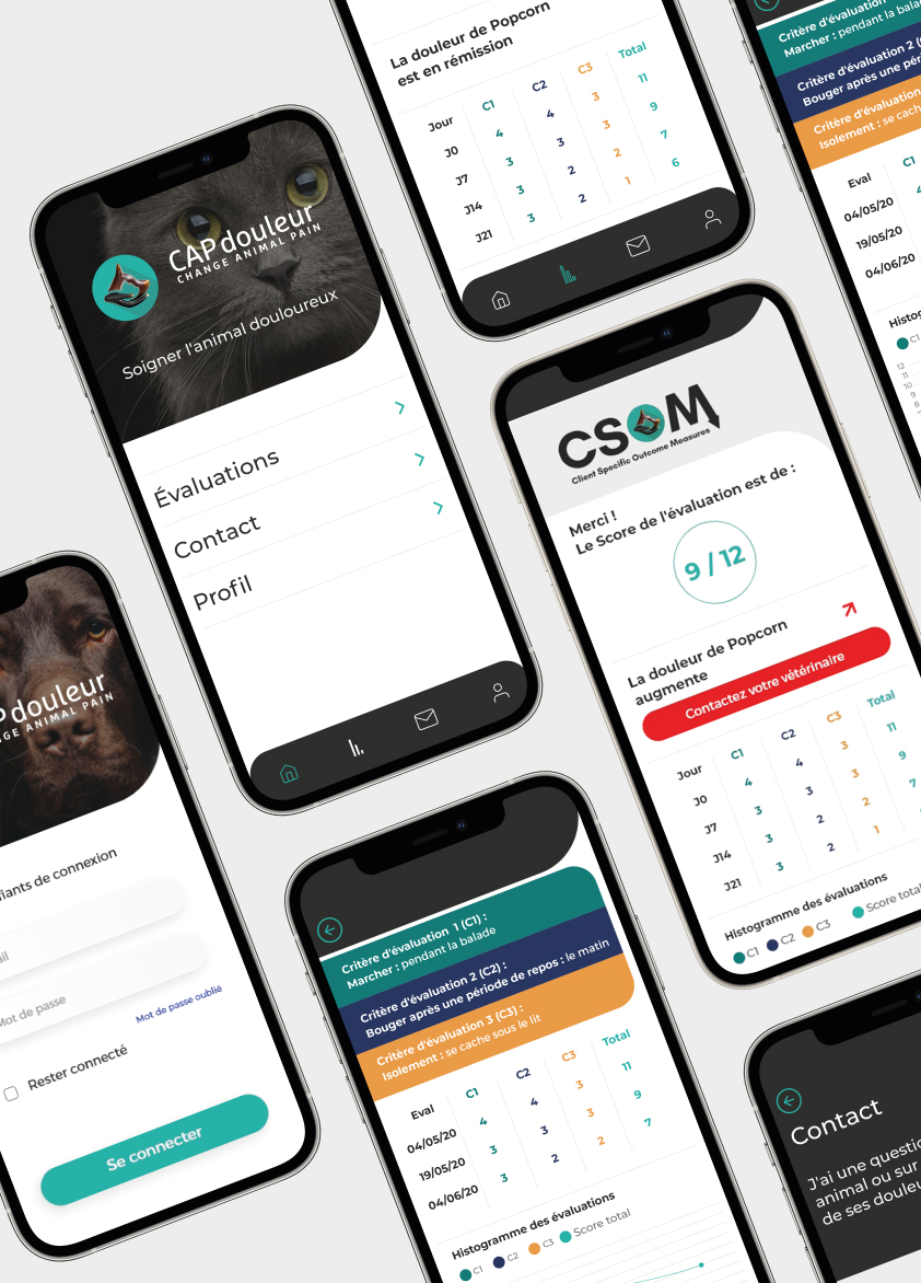 Guide application CAPdouleur 2021 CAPDouleur