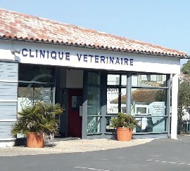 image-EPU-Analgésie-CAPdouleur