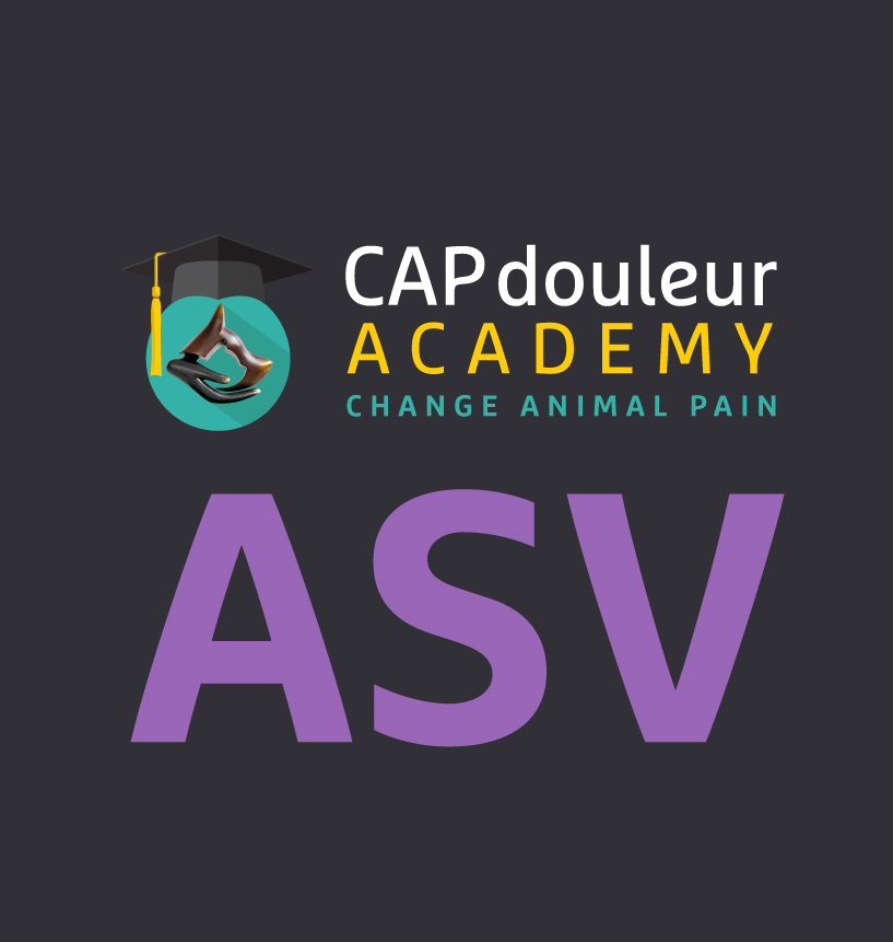 image-Module-1-ASV-E-learning-:-</br>l’animal-douloureux,-une-approche-globale