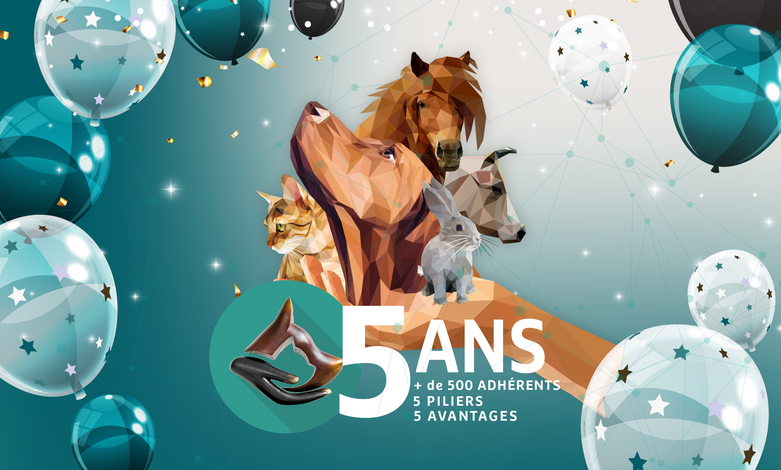 CAPdouleur 5 ans déjà ! CAPDouleur