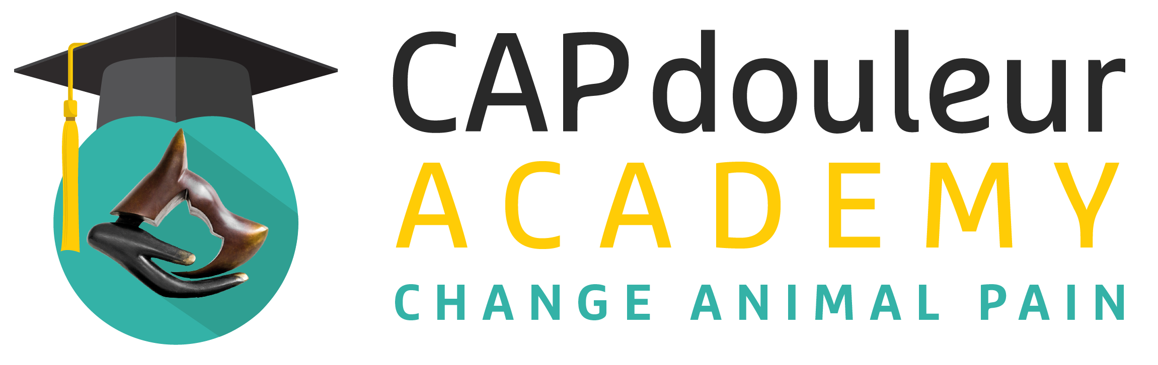 CAPdouleur ACADEMY