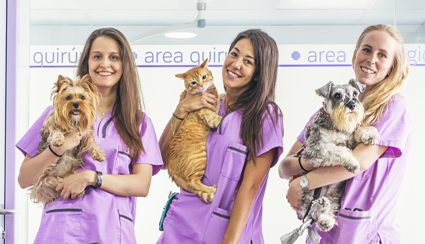 CAPdouleur pour les ASV CAPdouleur