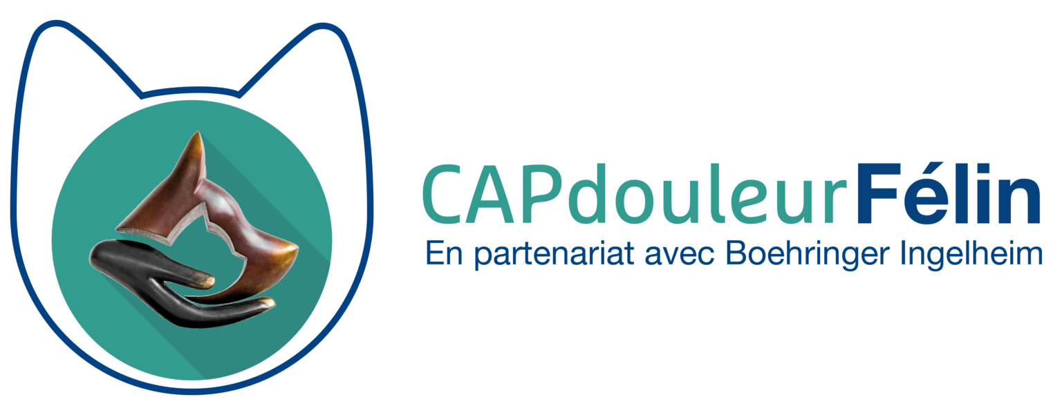 programmeCAPdouleurfelinReplay CAPDouleur