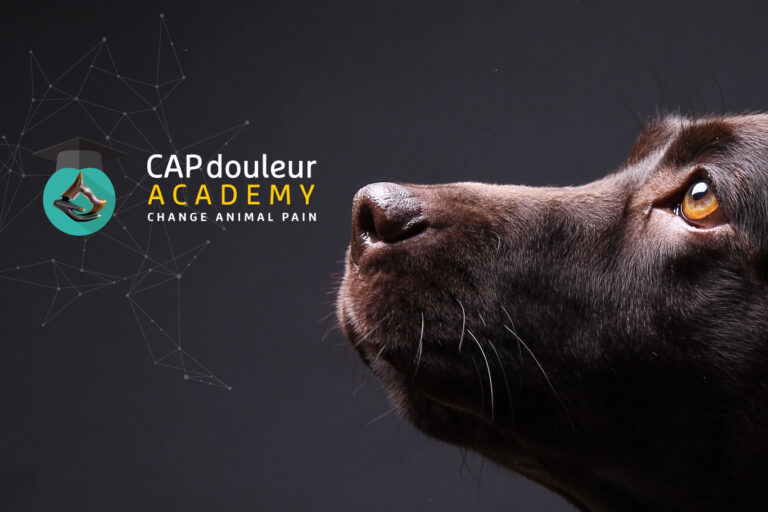 Home page l'animal douloureux CAPdouleur CAPDouleur