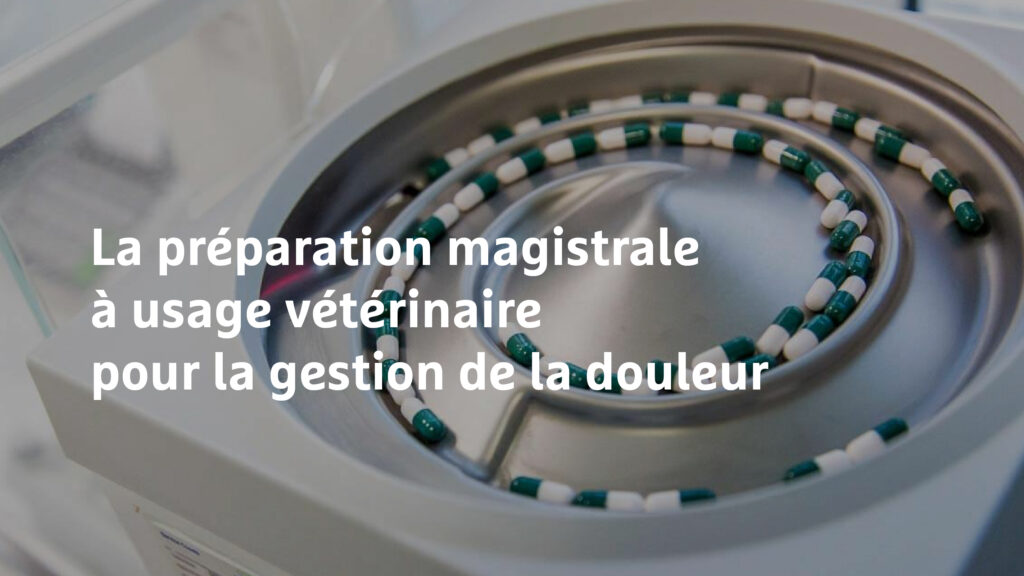 préparation magistrale à usage vétérinaire pour la gestion de la douleur - Image