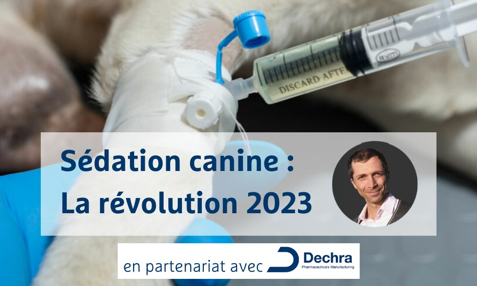 Sédation canine : La révolution 2023 - Image
