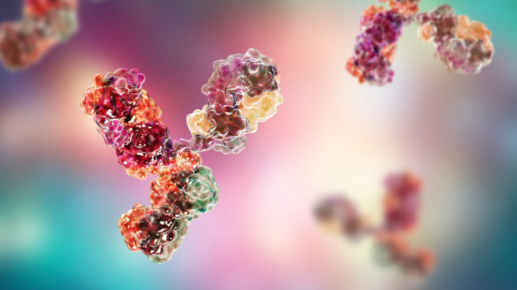 Alliance et Éducation thérapeutiques : Concepts, méthodologie et application pratique à la prescription d'anticorps monoclonaux anti-NGF - Image