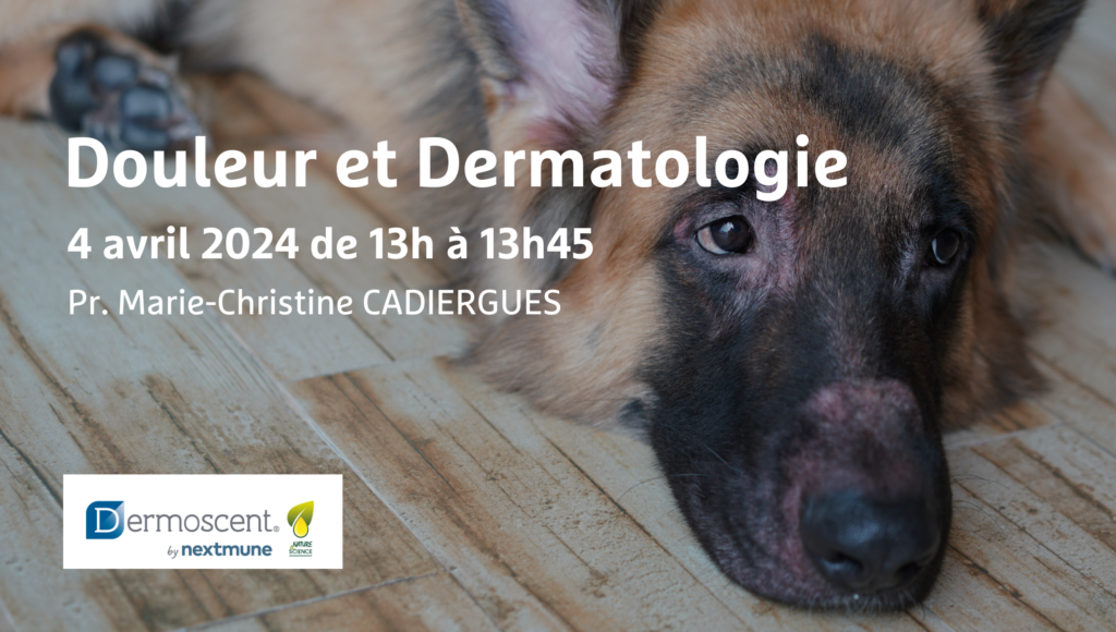 Douleur et dermatologie - Image