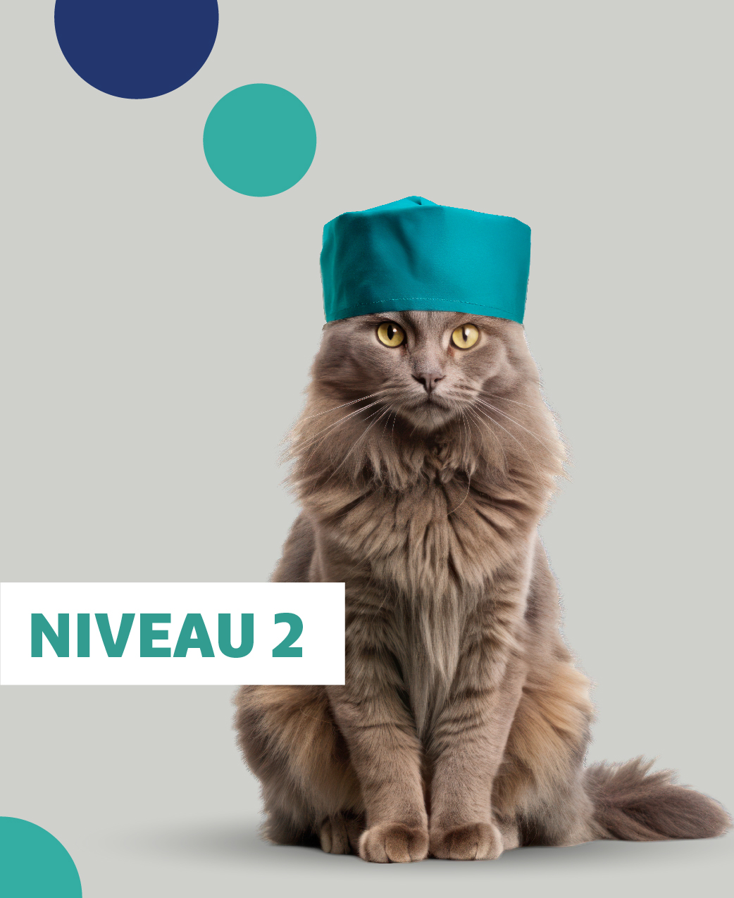 image-EPU-Anesthésie-Niveau-2