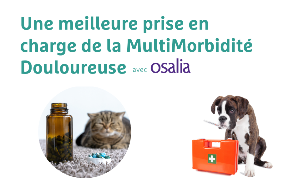 Prise en charge de la MultiMorbidité Douloureuse - Image