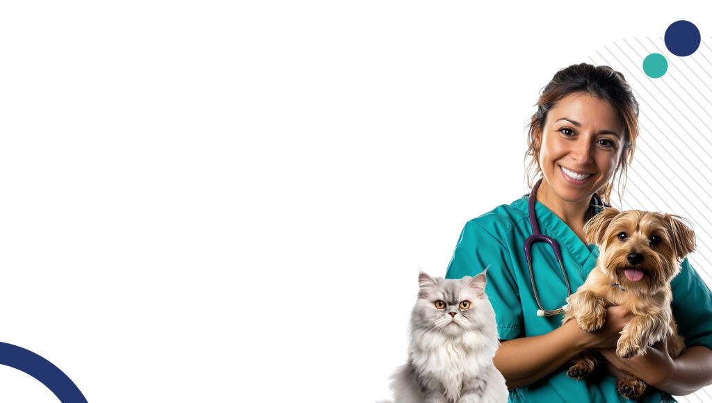 Douleur animale et souffrance du soignant-aidant - Image