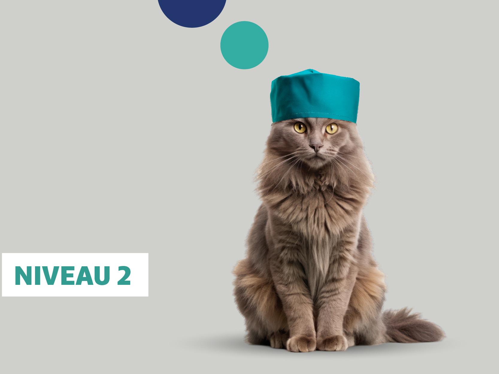 image-EPU-Anesthésie-Niveau-2