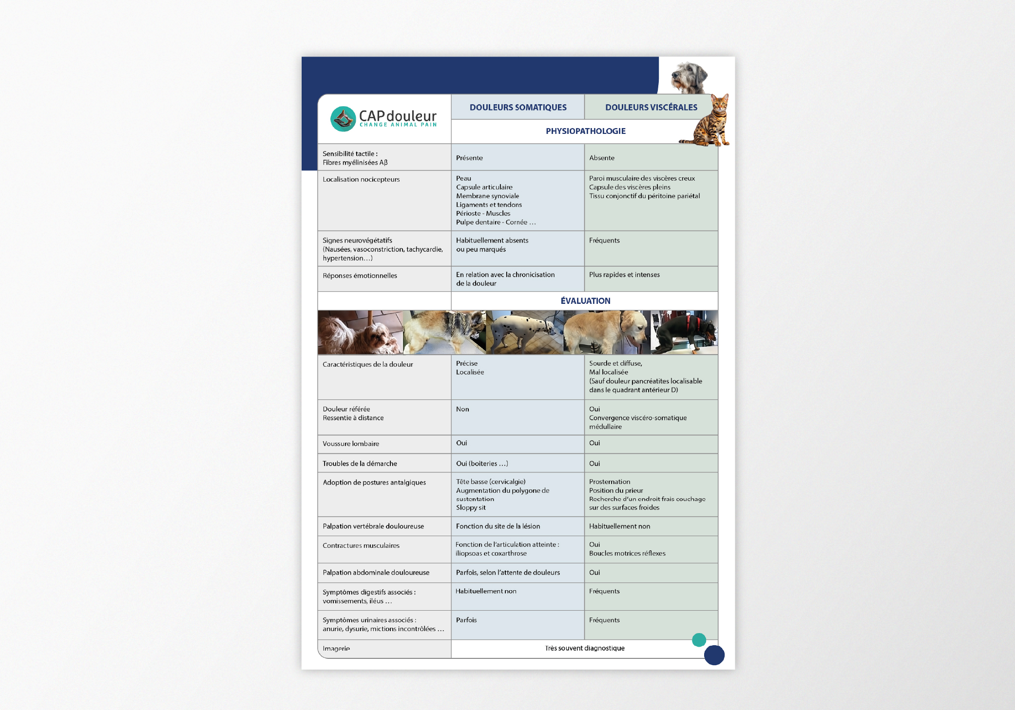 Vignette fiche pharmadiet-2025-01