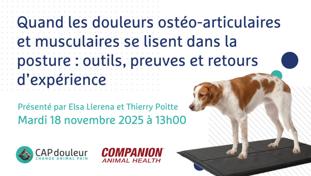 Quand les douleurs ostéo-articulaires et musculaires se lisent dans la posture : outils, preuves et retours d’expérience - Image