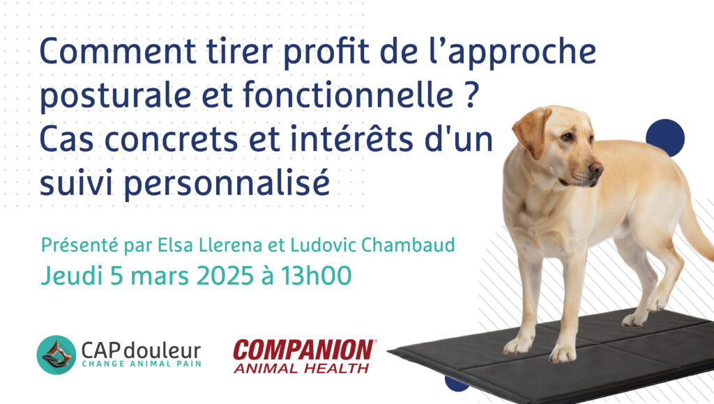 Comment tirer profit de l’approche posturale et fonctionnelle ? Cas concrets et intérêts d'un suivi personnalisé - Image