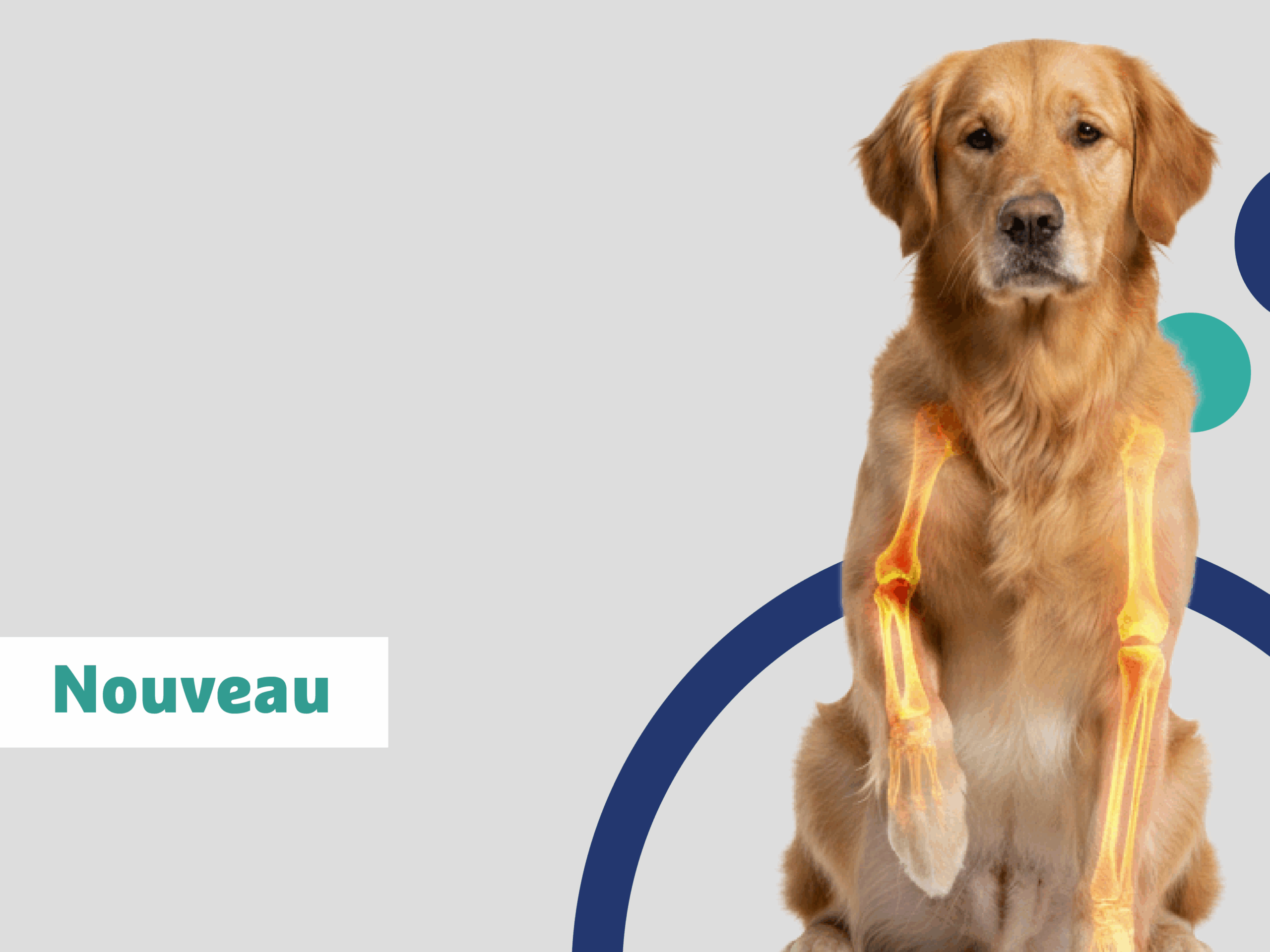 image-EPU-Orthopédie-et-douleurs-ostéo-articulaires