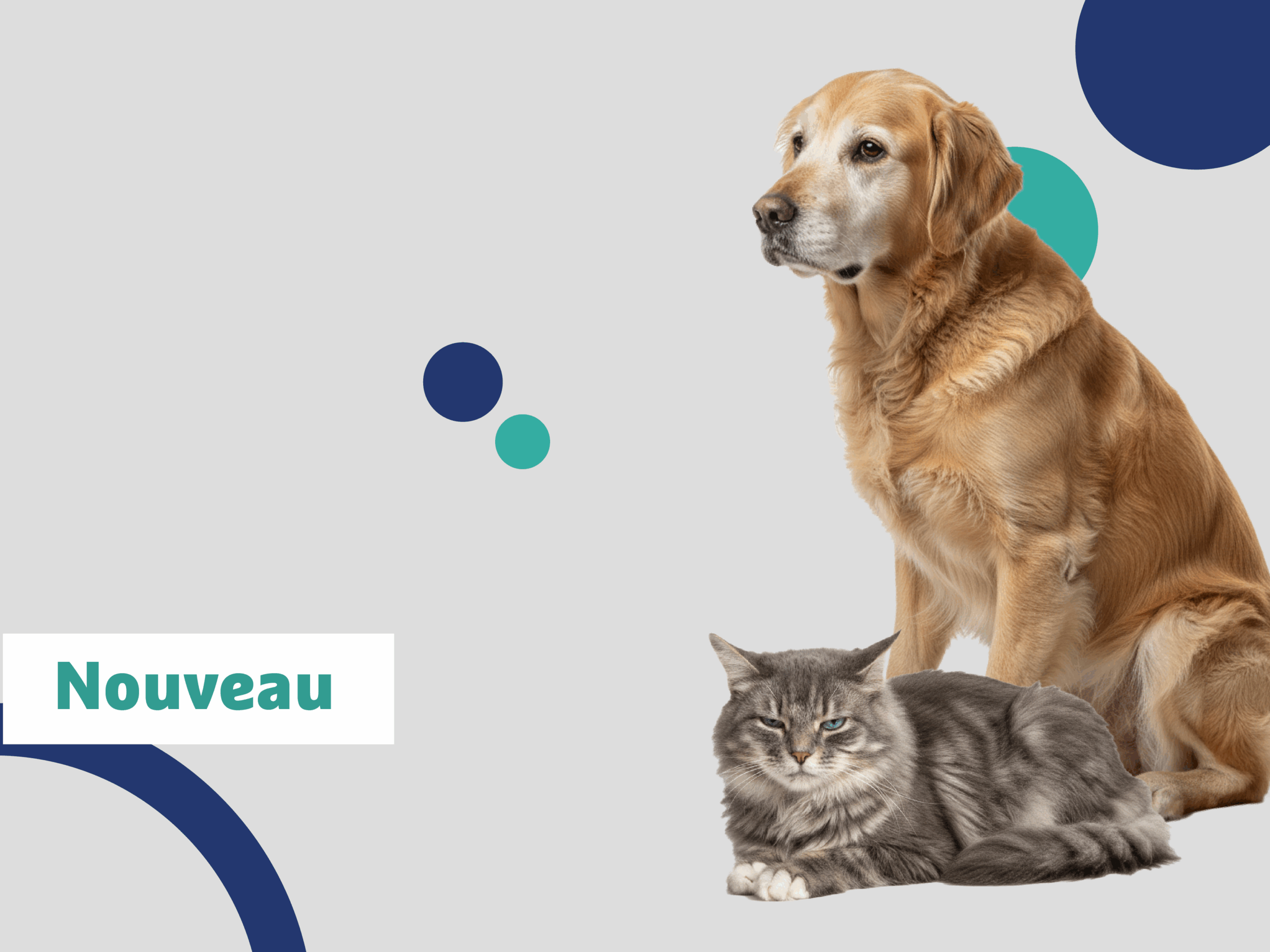 image-EPU-Gériatrie-et-Douleurs