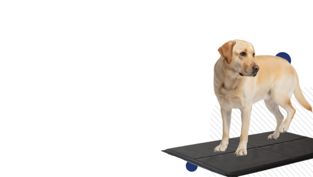 Douleur et posture - Image