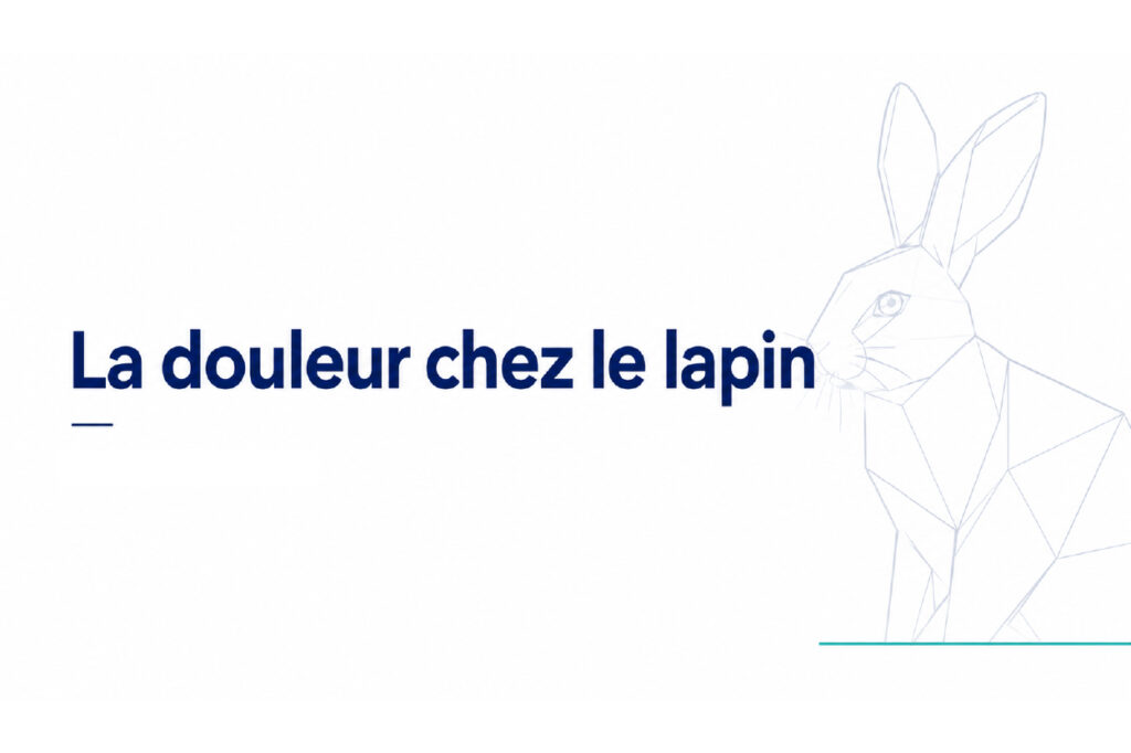 Episode 1 : La douleur chez le lapin - Image