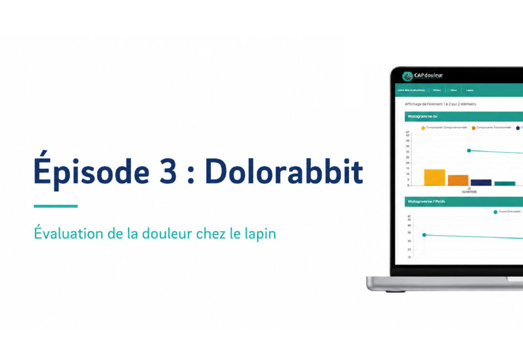 Episode 3 : Dolorabbit - Image