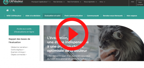 Sans titre (20) Sans titre (20)